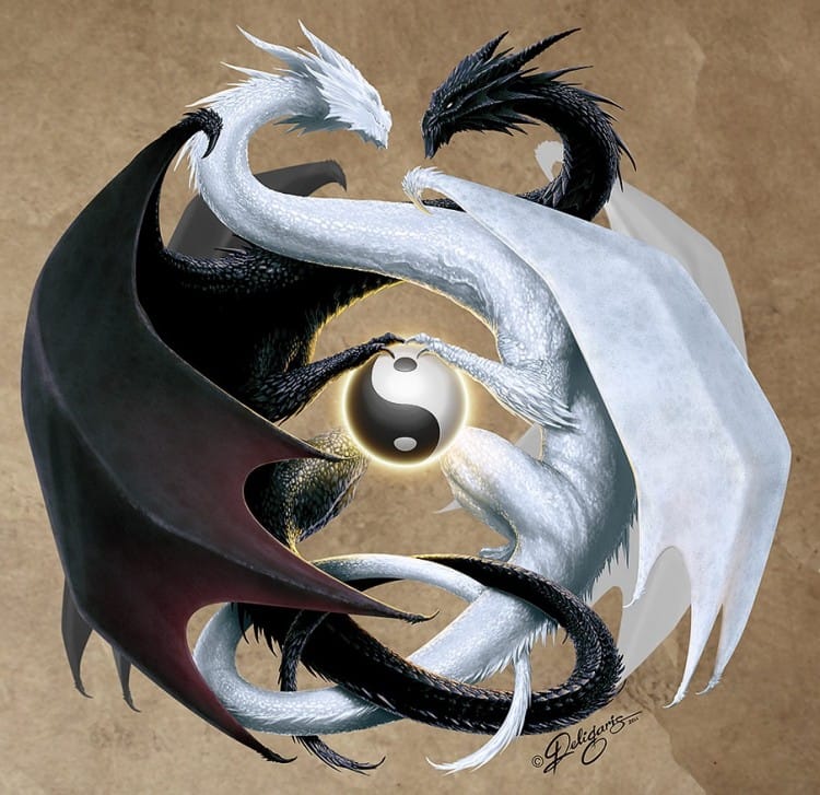 Ying Yang double_dragon_by_deligaris-d3cyy91