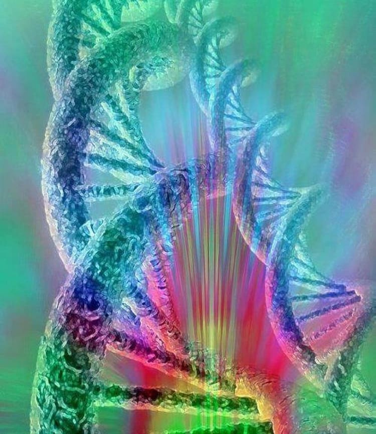 DNA rainbow light