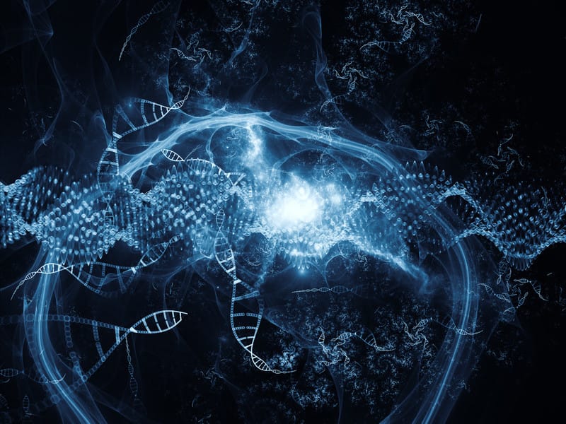 dna creation